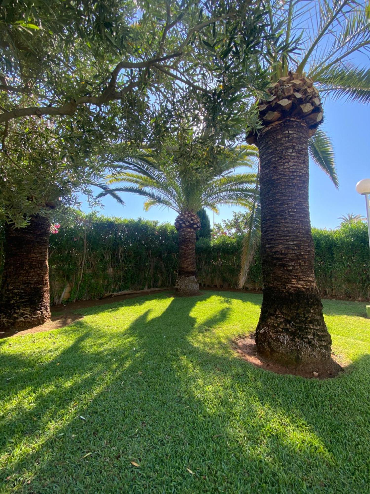 Sea Views Apartments Denia Zewnętrze zdjęcie